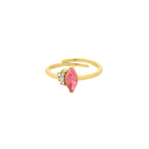Gabi pink Ring